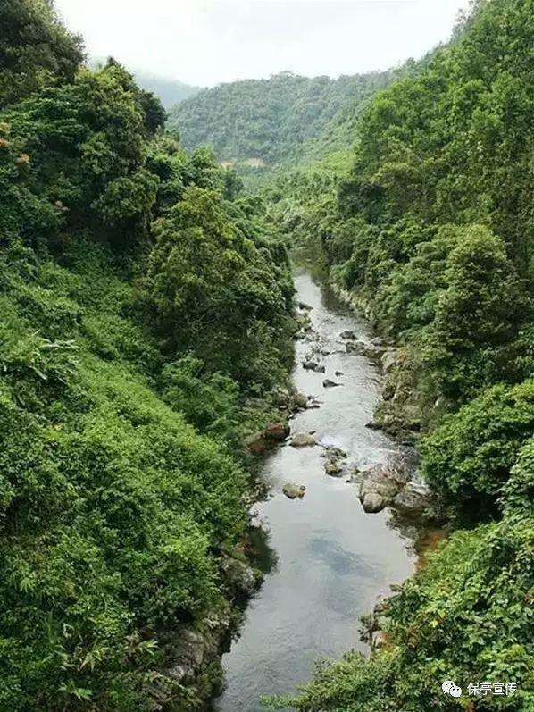 三亚海鲜餐饮行业举行春节期间文明旅游诚信经营动员会